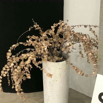 岑溪FurryQQ群介绍